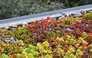 the cost of Stainton With Adgarley green roof installation
