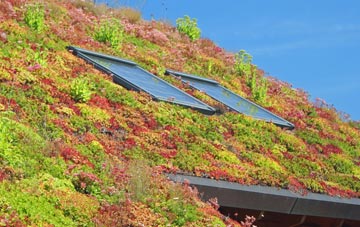 Stainton With Adgarley living roof systems